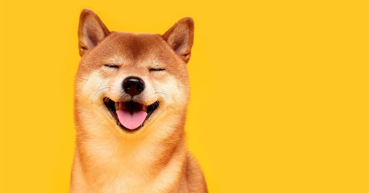 How We Reduced Our Client’s Cost-Per-Acquisition by 90%