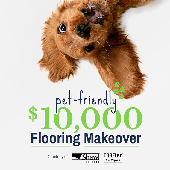 FCI Pet-Friendly Makeover Marketing Material Sample