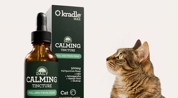 Krade Case Study Content Example