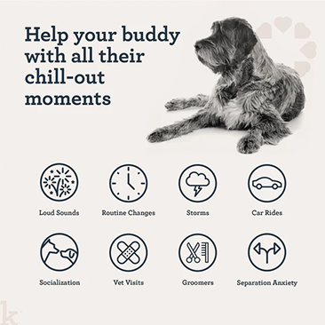 Krade Case Study Content Example 3