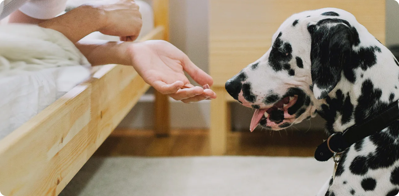 Kradle Case Study Hero Image